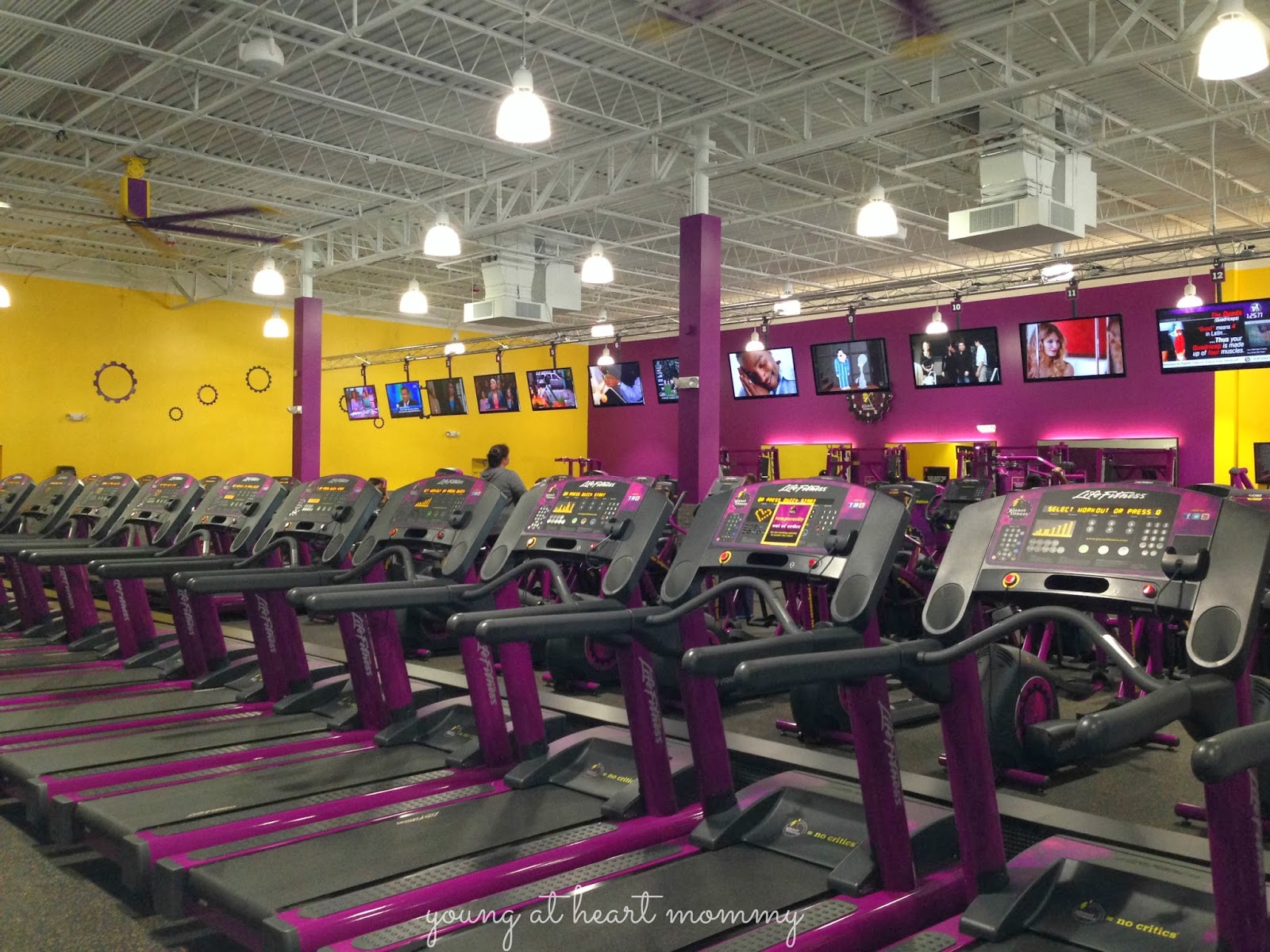 Simple How Much Does Planet Fitness Pay Personal Trainers for push your ABS