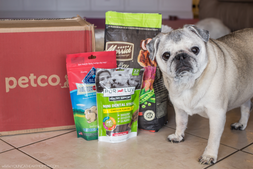 Petco-Delivery-Service-Review