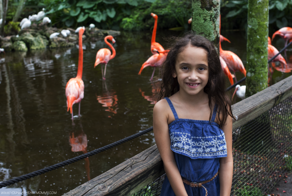 Explore The Great Outdoors At Flamingo Gardens In South Florida