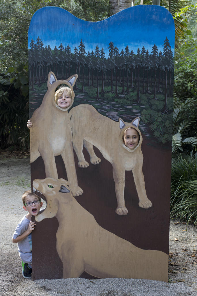 Explore The Great Outdoors At Flamingo Gardens In South Florida