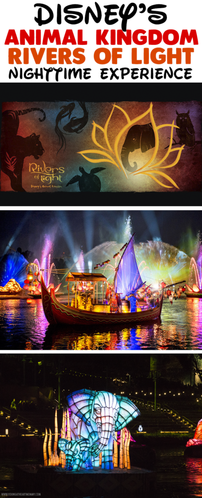 Rivers of Light Debuts At Disney's Animal Kingdom + VIDEO - Young At Heart  Mommy