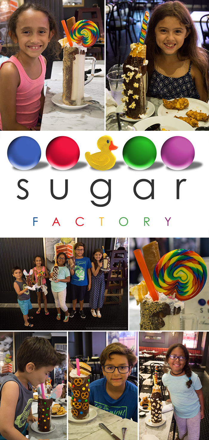 Our Visit To Sugar Factory Orlando